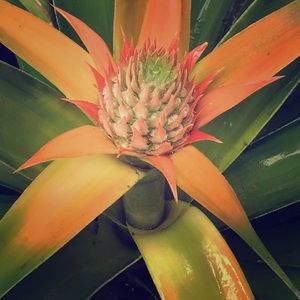 Meet your Posher, Jennan